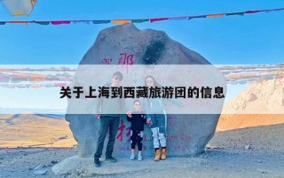 关于上海到西藏旅游团的信息