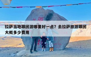 拉萨当地跟团游哪里好一点？去拉萨旅游跟团大概多少费用