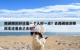西藏跟团好还是一个人好一点？去西藏旅游跟团走还是自己去好?