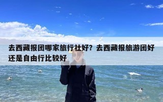 去西藏报团哪家旅行社好？去西藏报旅游团好还是自由行比较好