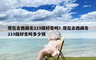 现在去西藏走219路好走吗？现在去西藏走219路好走吗多少钱