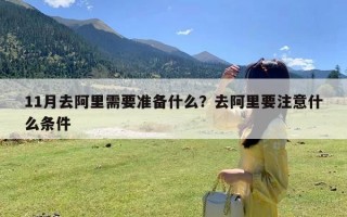 11月去阿里需要准备什么？去阿里要注意什么条件