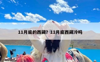 11月底的西藏？11月底西藏冷吗