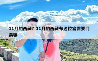 11月的西藏？11月的西藏布达拉宫需要门票嘛