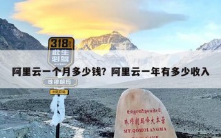 阿里云一个月多少钱？阿里云一年有多少收入