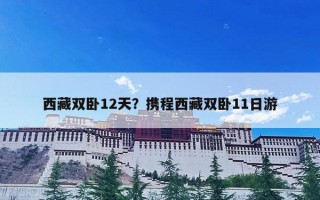 西藏双卧12天？携程西藏双卧11日游