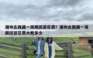 潮州去西藏一周跟团游花费？潮州去西藏一周跟团游花费大概多少