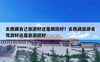 去西藏自己旅游好还是跟团好？去西藏旅游自驾游好还是旅游团好