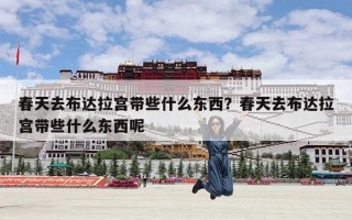 春天去布达拉宫带些什么东西？春天去布达拉宫带些什么东西呢
