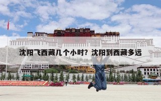 沈阳飞西藏几个小时？沈阳到西藏多远