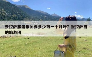 去拉萨旅游报团要多少钱一个月呀？报拉萨当地旅游团