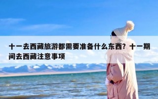 十一去西藏旅游都需要准备什么东西？十一期间去西藏注意事项