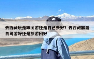 去西藏玩是跟团游还是自己去好？去西藏旅游自驾游好还是旅游团好