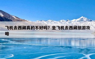 飞机去西藏真的不好吗？坐飞机去西藏旅游攻略