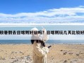 放暑假去日喀则好玩吗？日喀则玩几天比较好