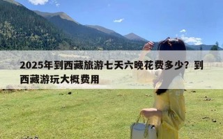 2025年到西藏旅游七天六晚花费多少？到西藏游玩大概费用