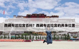 西藏布达拉宫百科？西藏布达拉宫的具体位置
