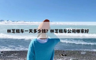 林芝租车一天多少钱？林芝租车公司哪家好