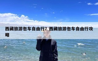 西藏旅游包车自由行？西藏旅游包车自由行攻略