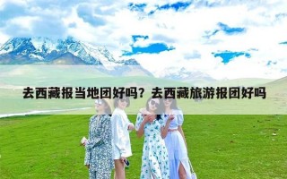 去西藏报当地团好吗？去西藏旅游报团好吗