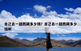 自己去一趟西藏多少钱？自己去一趟西藏多少钱啊