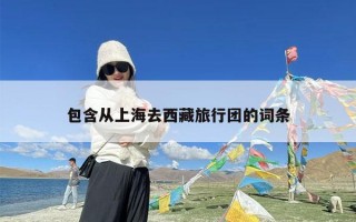 包含从上海去西藏旅行团的词条