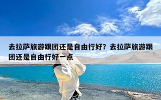 去拉萨旅游跟团还是自由行好？去拉萨旅游跟团还是自由行好一点