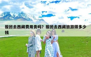 报团去西藏费用贵吗？报团去西藏旅游得多少钱