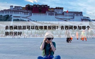 去西藏旅游可以在哪里报团？去西藏参加哪个旅行团好