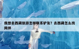 我想去西藏旅游怎样联系驴友？去西藏怎么找同伴