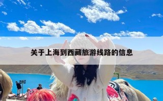 关于上海到西藏旅游线路的信息