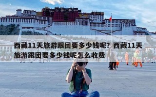 西藏11天旅游跟团要多少钱呢？西藏11天旅游跟团要多少钱呢怎么收费