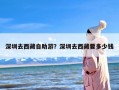 深圳去西藏自助游？深圳去西藏要多少钱