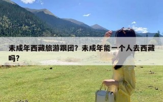 未成年西藏旅游跟团？未成年能一个人去西藏吗?