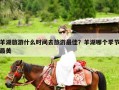 羊湖旅游什么时间去旅游最佳？羊湖哪个季节最美