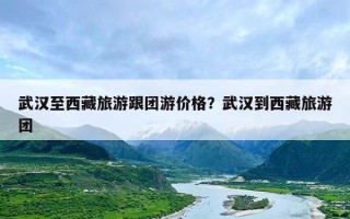 武汉至西藏旅游跟团游价格？武汉到西藏旅游团