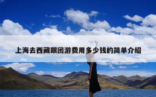 上海去西藏跟团游费用多少钱的简单介绍
