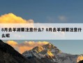8月去羊湖要注意什么？8月去羊湖要注意什么呢