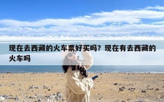 现在去西藏的火车票好买吗？现在有去西藏的火车吗