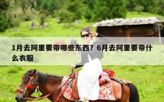 1月去阿里要带哪些东西？6月去阿里要带什么衣服