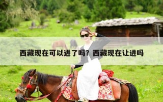 西藏现在可以进了吗？西藏现在让进吗