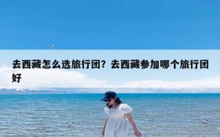 去西藏怎么选旅行团？去西藏参加哪个旅行团好