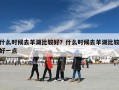 什么时候去羊湖比较好？什么时候去羊湖比较好一点