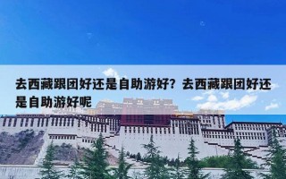 去西藏跟团好还是自助游好？去西藏跟团好还是自助游好呢