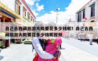 自己去西藏旅游大概要花多少钱呢？自己去西藏旅游大概要花多少钱呢视频