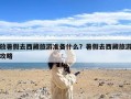 放暑假去西藏旅游准备什么？暑假去西藏旅游攻略