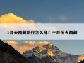 1月去西藏旅行怎么样？一月份去西藏