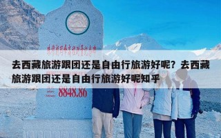 去西藏旅游跟团还是自由行旅游好呢？去西藏旅游跟团还是自由行旅游好呢知乎