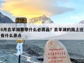 8月去羊湖要带什么必需品？去羊湖的路上还有什么景点