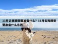 11月去西藏需要准备什么？11月去西藏需要准备什么东西